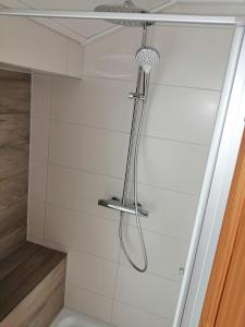 a shower with a shower head in a bathroom at Ferienhof Landhaus Michael in Böbrach +55 photos