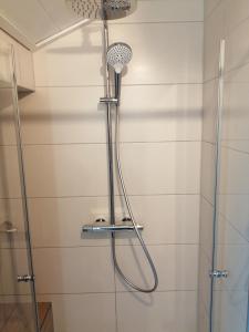 a shower with a shower head in a bathroom at Ferienhof Landhaus Michael in Böbrach