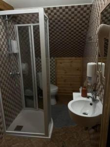 uma casa de banho com um chuveiro, um lavatório e um WC. em Spēlmaņu krogs em Alsunga