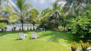 two white chairs in a yard with palm trees at Villa cork in Galle