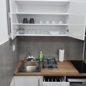 cocina con fregadero y encimera en Centar Apartman FILIPOVSKI, en Novi Sad
