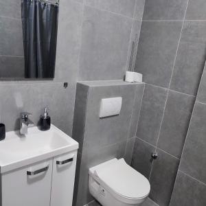 y baño con aseo blanco y lavamanos. en Centar Apartman FILIPOVSKI, en Novi Sad