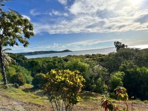 Blick auf das Meer von einem Hügel mit Bäumen in der Unterkunft WINGS HOTELS in Nosy Be