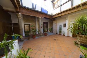 an indoor courtyard with potted plants in a building at Apartamentos del Casco in Toledo