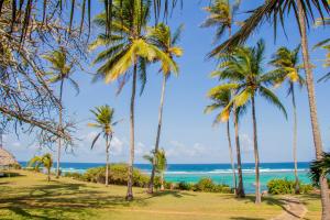 a group of palm trees on the beach at Hillpark Amare Resort in Tiwi