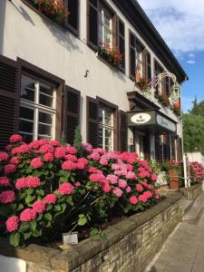 Ein paar rosa Blumen vor einem Gebäude in der Unterkunft Hotel Jägerhof Kettwig in Essen