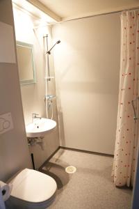 ein Bad mit einem WC und einem Waschbecken in der Unterkunft Hostel Oslofjord in Stabekk