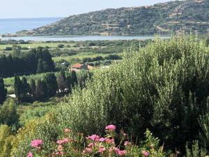 Táj Show holiday homes közelében