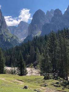 Gallery image of Haus Helga in Tires +21 photos