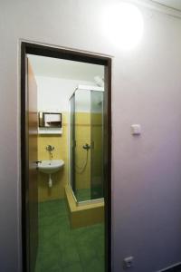 uma casa de banho com um lavatório e um chuveiro com um espelho. em Horska chata Svetlanka em Rokytnice nad Jizerou