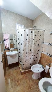La salle de bains est pourvue d'un lavabo, de toilettes et d'une douche. dans l'établissement Acacias, à Mar de Ajó