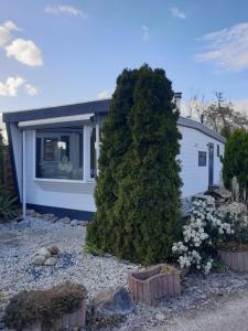 a small house with a large bush in front of it at Vintage chalet Fereale II in Grou