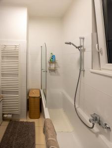 a bathroom with a shower and a bath tub at Turquoise inspired deluxe centrally located in Vienna