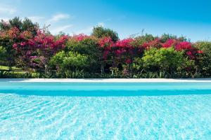 a pool of water with flowers in the background at Il Giardino Ritrovato in Marsala +52 photos