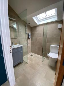 a bathroom with a toilet and a sink and a shower at Tiny home, the Wye Valley, Clanna Cottage Llandogo in Llandogo