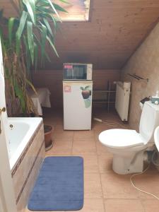 ein Badezimmer mit einem WC und einer Mikrowelle auf einem Kühlschrank in der Unterkunft Pension Beránek in Prag