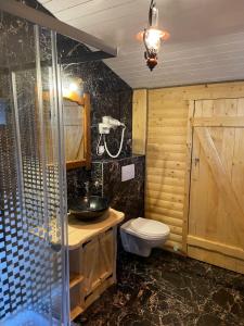 a bathroom with a sink and a toilet and a shower at Chalet Poligon in Vatra Dornei