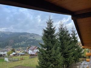 a view of two christmas trees from a porch at Chalet Poligon in Vatra Dornei