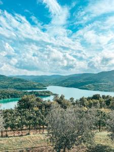 a view of a lake with trees and mountains at Luxury Villa Maslina with private pool & jacuzzi in Šćulci