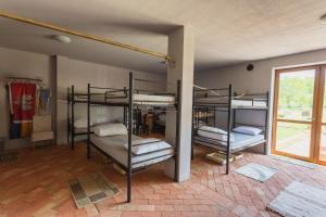 a room with four bunk beds in it at Gościniec Koćmierzów in Sandomierz