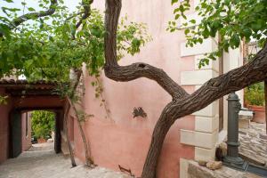 a tree in front of a pink building at Baglio Maranzano - Titi in Buseto Palizzolo