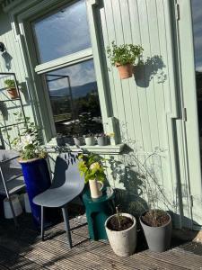 a porch with potted plants and a chair and a window at Sleeps 10. The Old pink library by loch and river in Lochearnhead