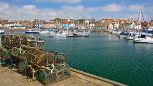 a group of boats docked in a harbor with houses at Jules By The Sea Anstruther in Anstruther