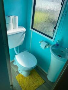 a blue bathroom with a toilet and a window at Sleeps 6 Gym Entertainment Pool Beach in Rhyl