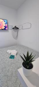 a potted plant sitting on top of a bed at Mini Estudio JACUZZI DOBLE SEVILLA "POLIGONO INDUSTRIAL" in Seville