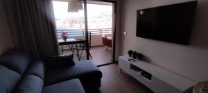 TV a/nebo společenská místnost v ubytování Apartamento Rincón Playa