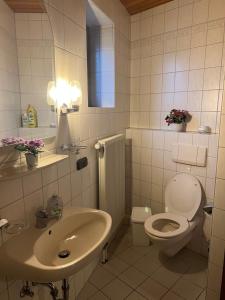 biała łazienka z toaletą i umywalką w obiekcie Doppelzimmer Nr 5 w mieście Freiensteinau