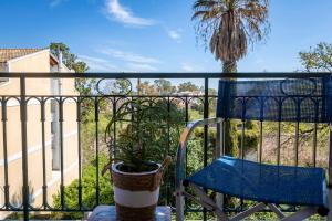 een blauwe stoel op een balkon met een palmboom bij Casa Loula in Corfu-stad