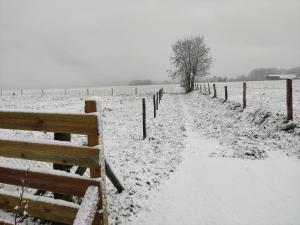 Gallery image of Le grand gîte d'Angélique en Normandie - 4 personnes in Norville +10 photos