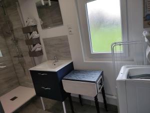 ein kleines Bad mit einem Waschbecken und einer Dusche in der Unterkunft Le grand gîte d'Angélique en Normandie - 4 personnes in Norville