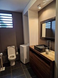 uma casa de banho com um WC, um lavatório e um espelho. em Appart Damazonie T3 Idéalement situé em Montjoly