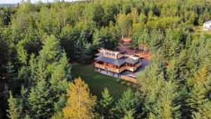an aerial view of a house in the woods at Wild Pines Cabins in Surrey