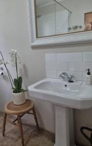 ein Badezimmer mit einem Waschbecken und einer Topfpflanze auf einem Stuhl in der Unterkunft Clivedon Cottage in Sunland