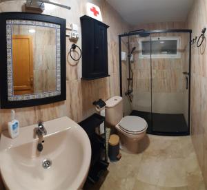 a bathroom with a sink and a toilet and a shower at EL HOGAR DEL MAGEC in Las Palmas de Gran Canaria +17 photos