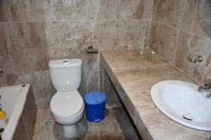 bagno con servizi igienici e lavandino di Raffin Royal Lodge 