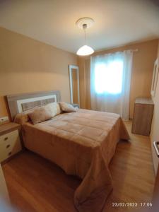 a bedroom with a large bed and a window at Piso JS in Ourense