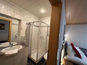 a bathroom with a shower and a sink and a toilet at Pension Pichlerhof in Stall