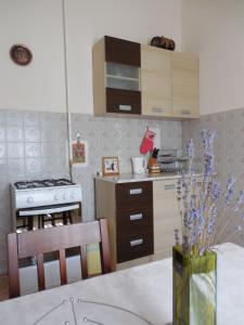 Kuchyň nebo kuchyňský kout v ubytování ENZO Apartman Gyula