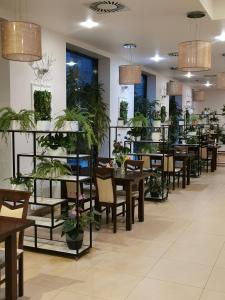 a restaurant with tables and chairs and potted plants at Hotel Forum Fitness Spa & Wellness in Lublin