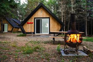 a fire pit in front of a log cabin at Wild Pines Cabins in Surrey