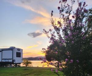 una caravana estacionada junto a un lago con un árbol en Sams Paradise, 