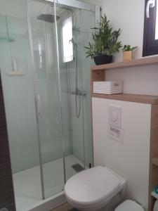een badkamer met een toilet en een glazen douche bij Loft "Plus belle la vue" in Vinezac