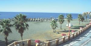 a view of a beach with palm trees and the ocean at Mar Marina in Benalmádena