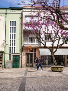 Budova, kde se penzion nachází + 37 fotografií