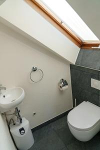 a bathroom with a white toilet and a sink at Casa Benedicta in Trier