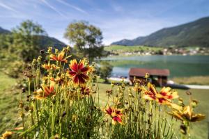 Ticklhof am See في تيرسي: مجموعة من الزهور أمام البحيرة